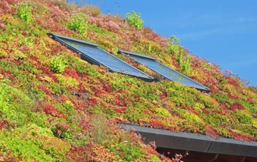 Pen Y Maes living roof systems